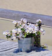 Beach Flower pot