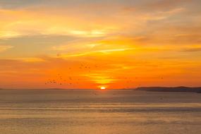 golden Sunset over calm Ocean, uk, england, Dorset