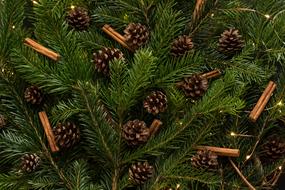 Pine Christmas Tree decoration