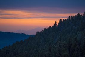 Beautiful landscape of the mountains with trees, at colorful and beautiful sunrise, among the clouds