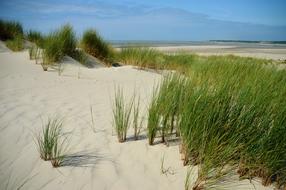 landscape of Sea Beach Hauts De France