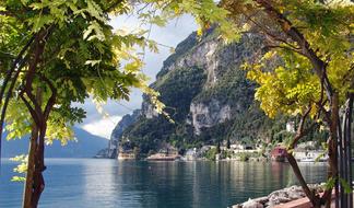 view from behind the trees on lake garda on a sunny day