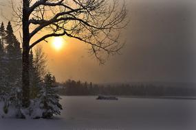 Landscape of Winter Sunset trees