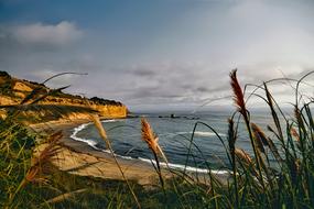 Beautiful and colorful coastline of California, USA, with the plants