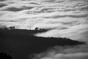 Black and white landscape of the beautiful mountain with trees, among the clouds