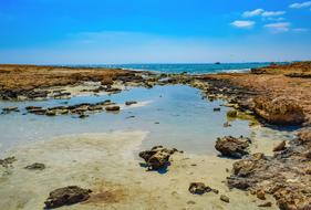 rocky coast by the sea at low tide