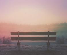 Wood Bench Outdoors in the foggy twilight