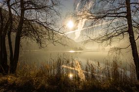 Lake Nature at autumn