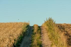 Landscape of Yields and Sky