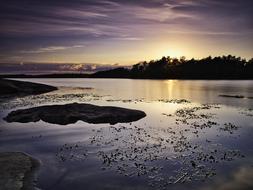 Beautiful landscape with the sea, among the plants, at colorful and beautiful sunset, in the evening