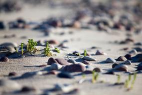 small stones on a sandy beach in a blurred background