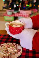 Santa Claus Hot Chocolate and cookies