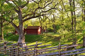 Beautiful landscape of Apladalen, among the green plants in sunlight, in VÃ¤rnamo, Sweden