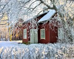 Winter Cottage Snow Red roof