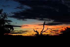 dark twilight at Mato Grosso Do Sul