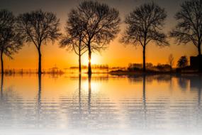 setting sun in the silhouettes of the trees is reflected in the calm water