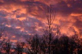 Clouds Sky at Sunset dusk