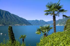 Beautiful and colorful landscape of Lake Como, among the mountains with plants in Italy, under the blue sky