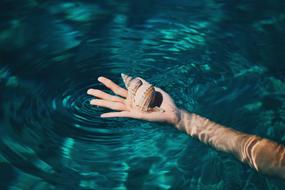 seashells on the palm in the water