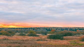 autumn meadow with dry grass at sunrise