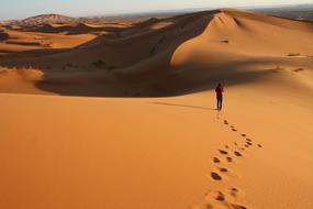 Person travelling in the desert with hills