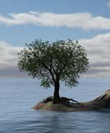 Beautiful tree with green leaves in heart shape, on the island, among the water, under the blue sky with clouds
