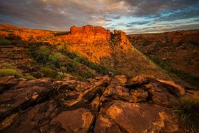 Beautiful and colorful Grand Canyon with rocks and plants, at colorful and beautiful sunset, in Arizona, USA