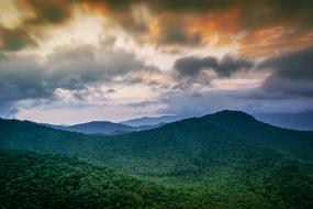 hills with green trees at sunrise