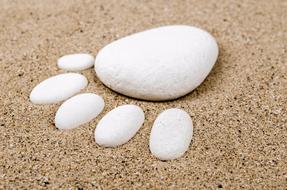 stones as a paw on a sandy beach