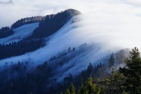 Landscape of the beautiful Belchenflue with colorful trees, in fog, in Sweden