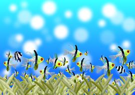 Colorful fishes swimming above the green grass, in the blue water, at background with bokeh lights