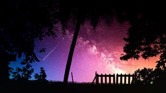 Beautiful landscape with silhouettes of the plants and construction, at colorful and beautiful sky with shooting star and stars, in the evening, clipart