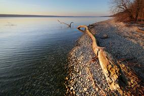 Waters Coast Nature landscape