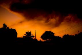 Sunset Shadows Silhouettes