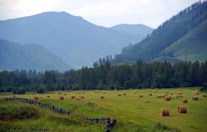 Beautiful and colorful landscape with the fields, plants and mountains, in Mountain Altai