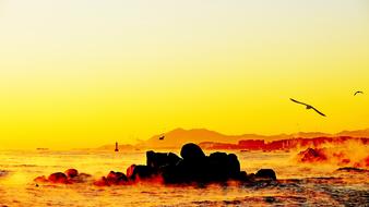 Beautiful landscape with the mountains and rocks on the sea shore, and flying birds, in Korea, at colorful and beautiful, gradient sunrise in the sky