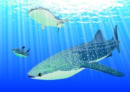 shark diving in sea