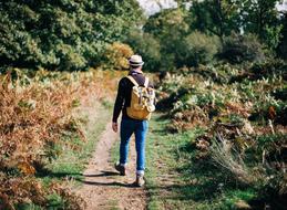 Man Walking road garden