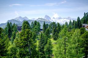 Alps Austria Mountains forest