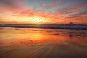 Beach Sand Water at sunset
