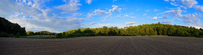 panorama of an agricultural field in the countryside