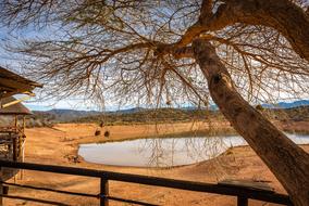 Africa Lodge Safari camp