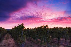 landscape of Afterglow Sunset Sky