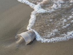 Beach Pollution