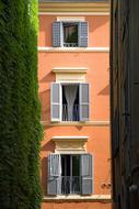 green ivy on the facade of a building in italy