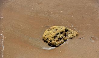 stone on wet sand close up