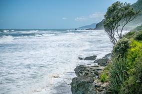 New Zealand Nature coast Landscape