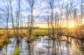 Beautiful landscape of the lake, among the colorful plants, at colorful and beautiful sunset