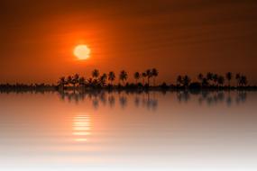 view from the water to the sunset over the trees