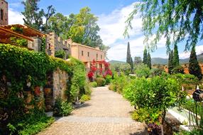 green plants near luxury home